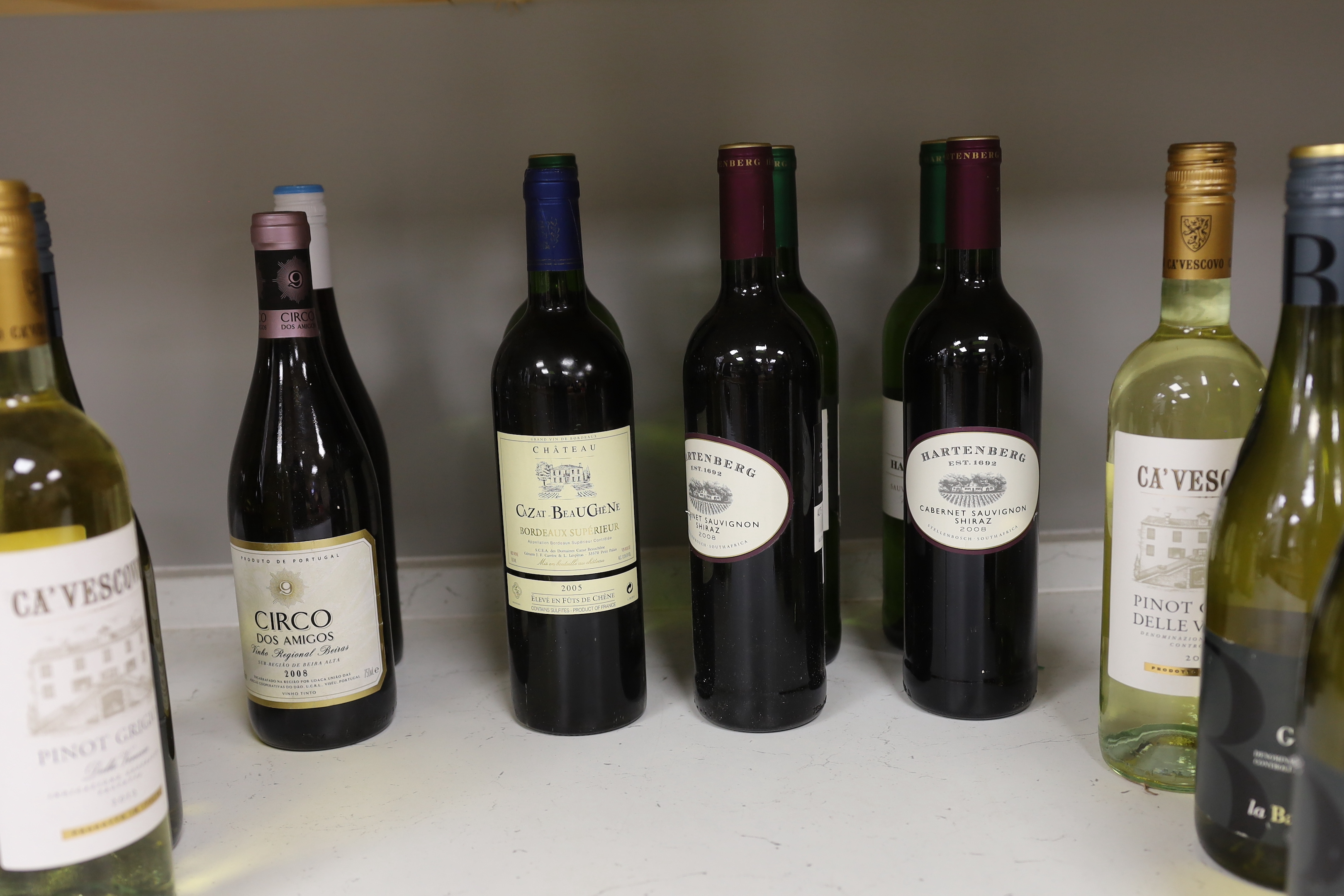 Fourteen bottles of various white and red wines including Gavi, Ca’Vescovo, Cazat Beaugiene etc.